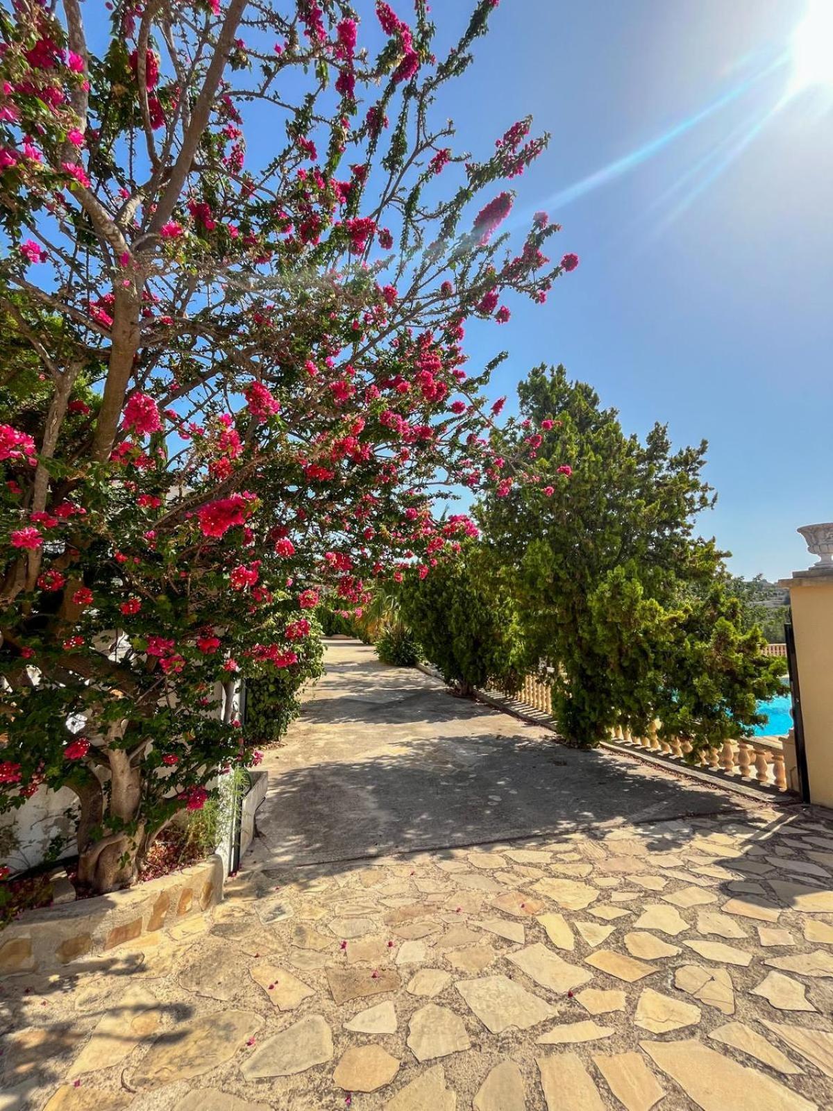 Ferienwohnung Casa Mar Benissa Calpe Exterior foto